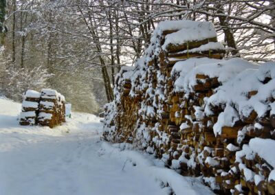 Dezember 2016 oberhalb der Hub: Winter-Impressionen rund ums Dorf.