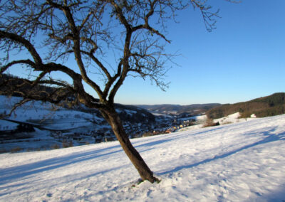 Winter-Impressionen vom Februar 2021: Blick von der Hub ins Dorf und in die Weite des Schuttertals.