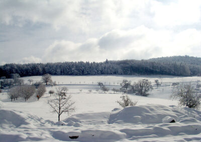 Winter-Impressionen vom März 2003: Blick von der Hauptstraße an den Waldrand von Kappelberg und Hub.