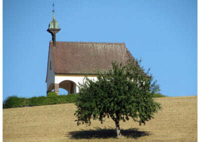 Dörlinbacher Impressionen aus dem Monat August. Ein Bilderbuch querbeet durch den Alltag: Leute, Tiere, Gebäude, Landschaft und Natur.